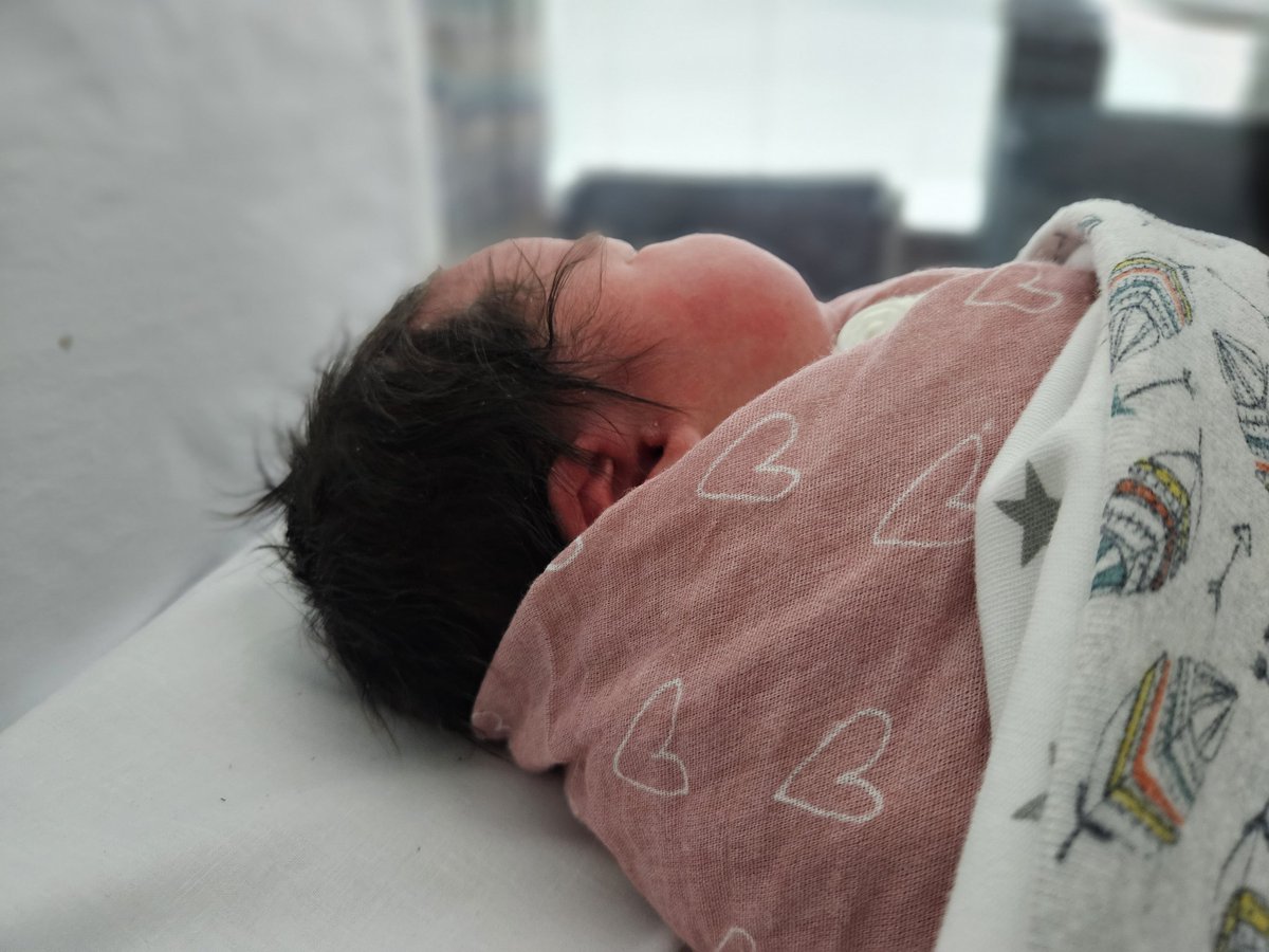 Ben McNulty tweet media