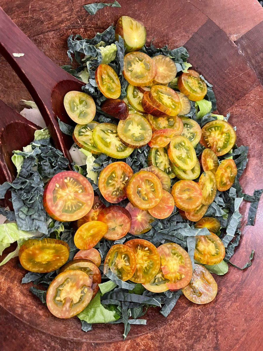 tomatoes, lettuce, kale all from the garden. not pictured: hardboiled eggs from the yardbirds.