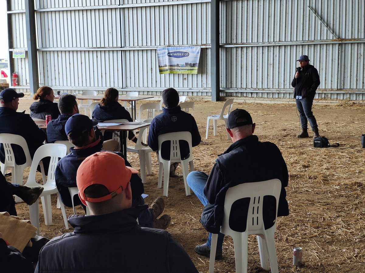 deborah_baum's tweet photo. Do you apply your N using a blanket formula in the HRZ or tap into the N Bank for a prescribed approach? Dr Therese McBeath @CSIRO Shed Sesh for RiskWi$e Project
@GRDCSouth
#MNHRZSpringFieldDay
@SADroughtHub
@GrainGrowersLtd https://t.co/t3xl4B2VR3