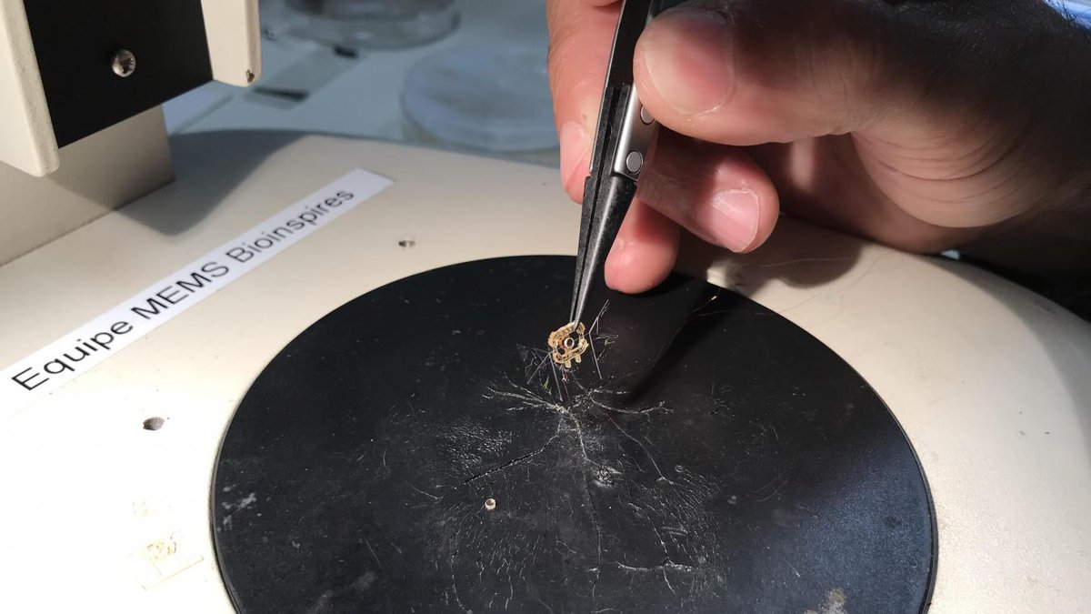 #Valenciennes >> Ces chercheurs qui se sont mis en tête de faire voler un #drone de la taille d’une mouche lavoixdunord.fr/1381005/articl…