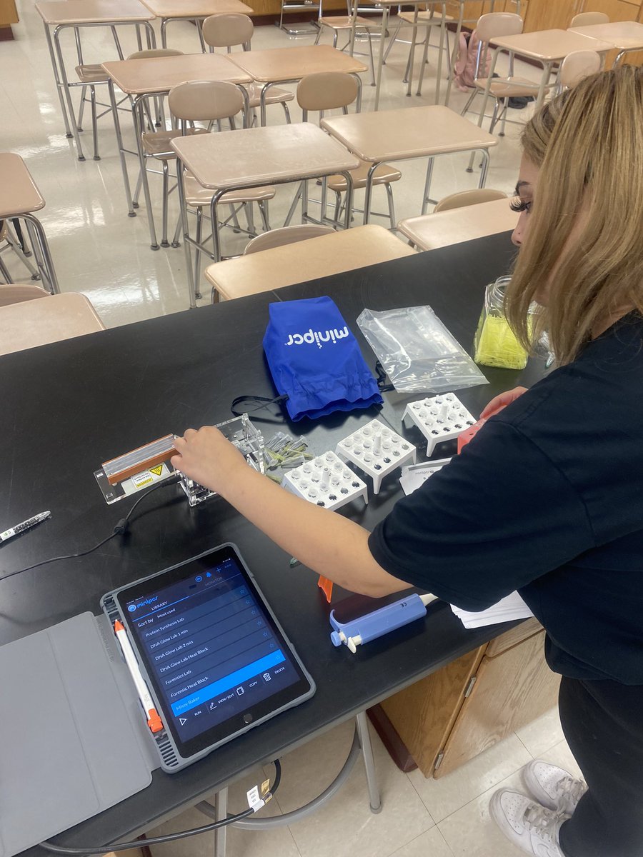 Laura Turngren tweet media