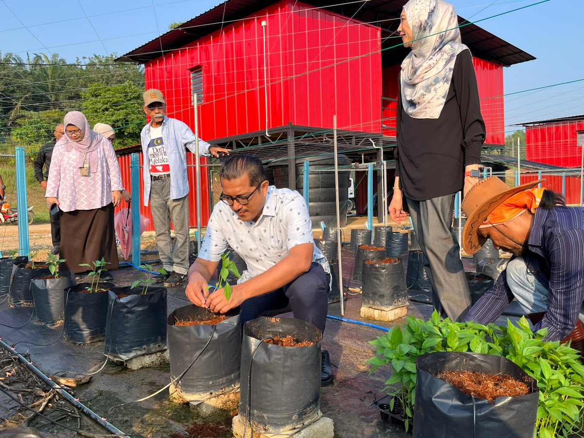 rafiziramli's tweet photo. Saya kongsikan perkembangan semasa salah satu projek Inisiatif Usahawan Tani (INTAN-IPR) di Putrajaya. Kerjasama ini turut membabitkan Lembaga Pertubuhan Peladang dan Pertubuhan Peladang Kawasan Kuala Langat.  

Untuk Fasa 1, kita mulakan dengan tanaman cili fertigasi di tanah keluasan 10 ekar. Seramai 20 peserta dilibatkan untuk mengendalikan 40,000 polibeg cili.   

Jangkaan hasil adalah sebanyak 100 tan metrik yang akan berikan pulangan sekitar RM2,300 sebulan kepada setiap peserta. Semoga peserta INTAN dapat menuai hasil yang lumayan dan dapat mengubah kehidupan dengan lebih baik.