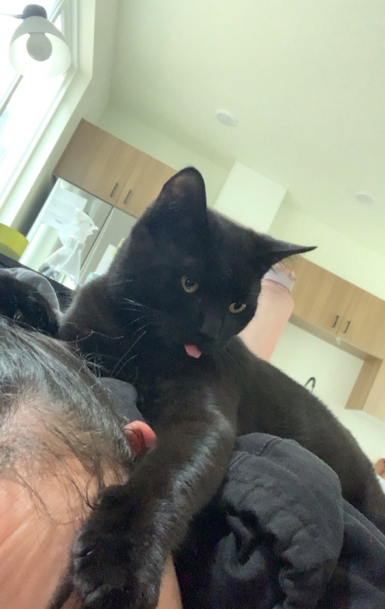 💋 Cabana 💋 tweet media