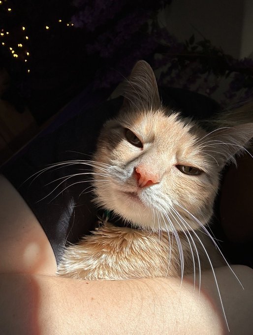 He&rsquo;s a grumpy old man https://t.co/Qp7nWC44gr<a href="/tag/mashle"class="tags"><span>#mashle</span></a>