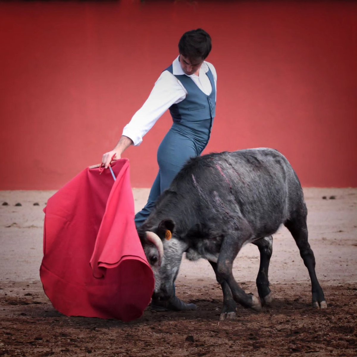 José Mauricio 🇲🇽 tweet media