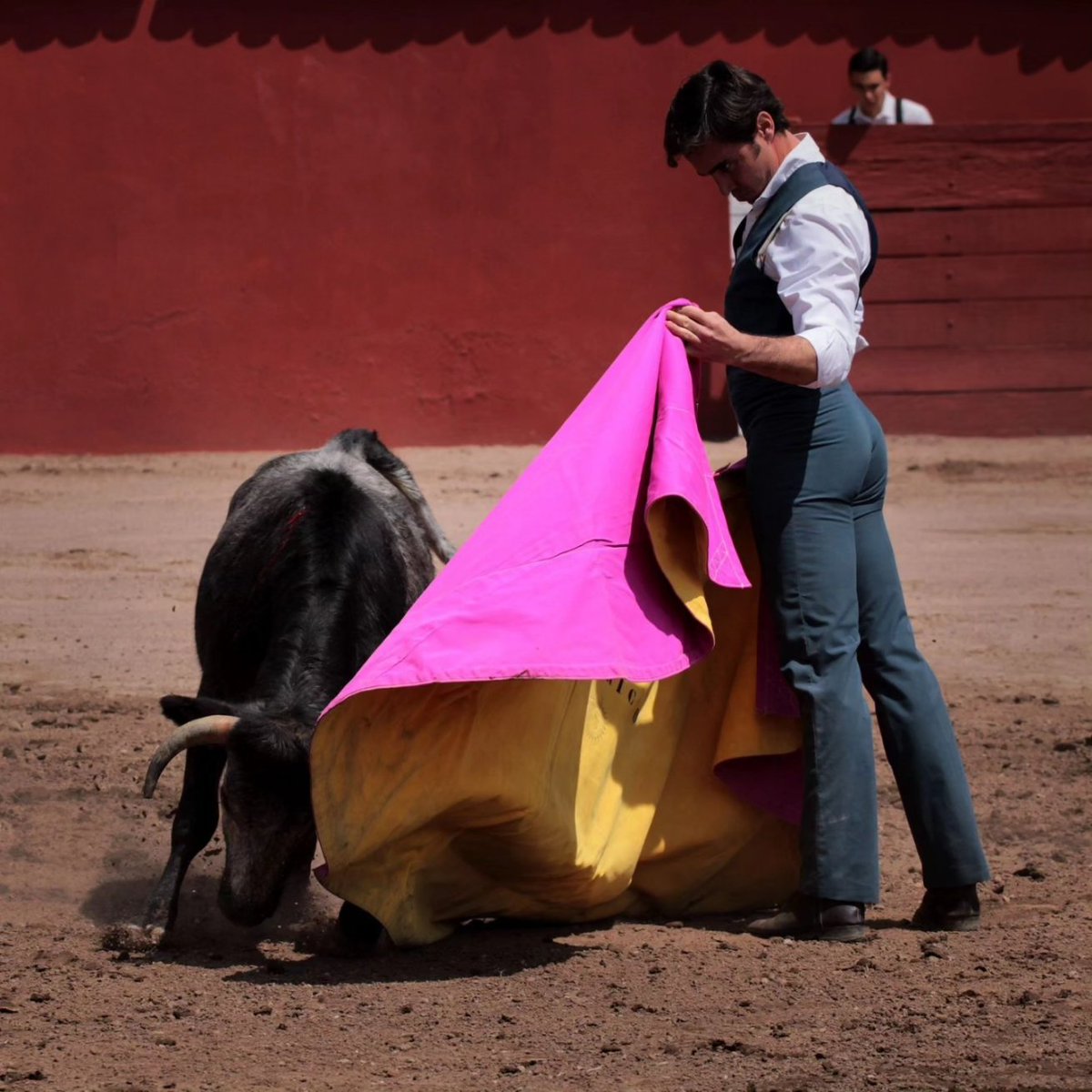 José Mauricio 🇲🇽 tweet media