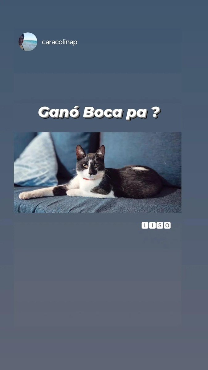 LevelGer's tweet photo. #Boca https://t.co/GcNSkeJgrH