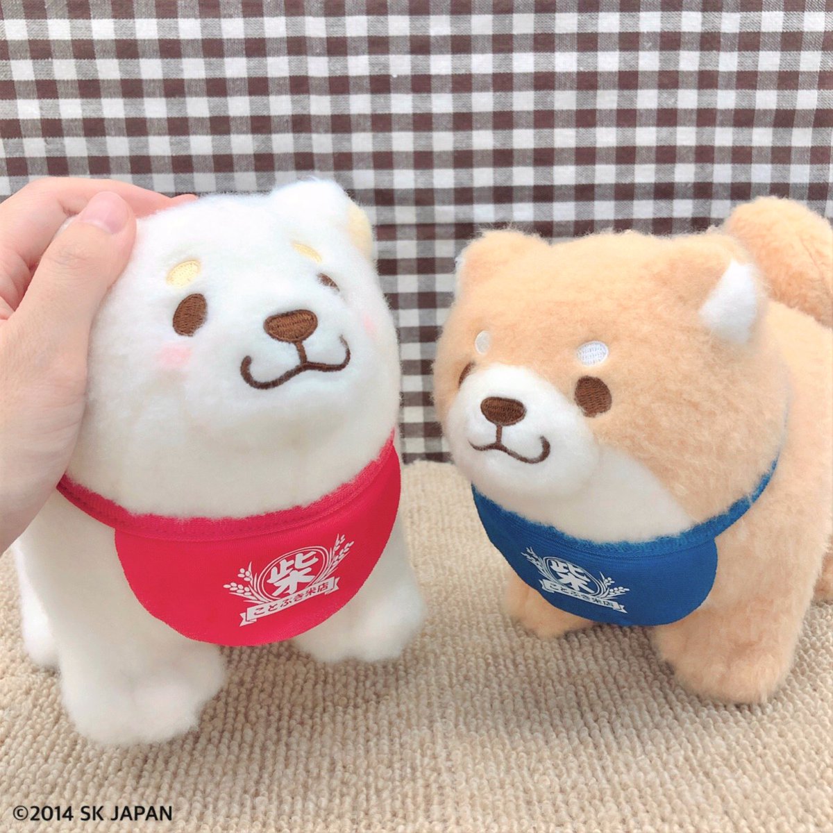 🐾物販 新商品のお知らせ🐾

『#忠犬もちしば』から "ぷわふわ"シリーズのぬいぐるみ&amp;ボールチェーンが新登場❤
いっぱい撫でてくださいね🎶(もちしばスタッフ)

オンラインショップはこちら
▶sk-charamarche.jp/collections/mo…