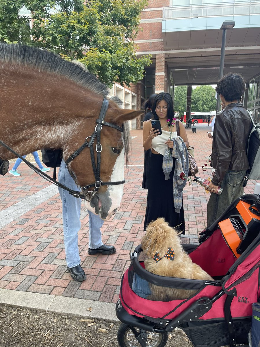 Cecilia Dean tweet media