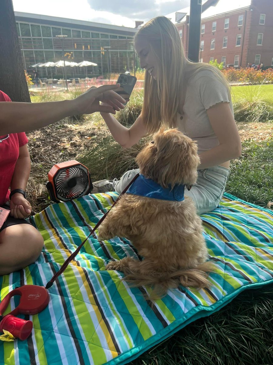 Cecilia Dean tweet media