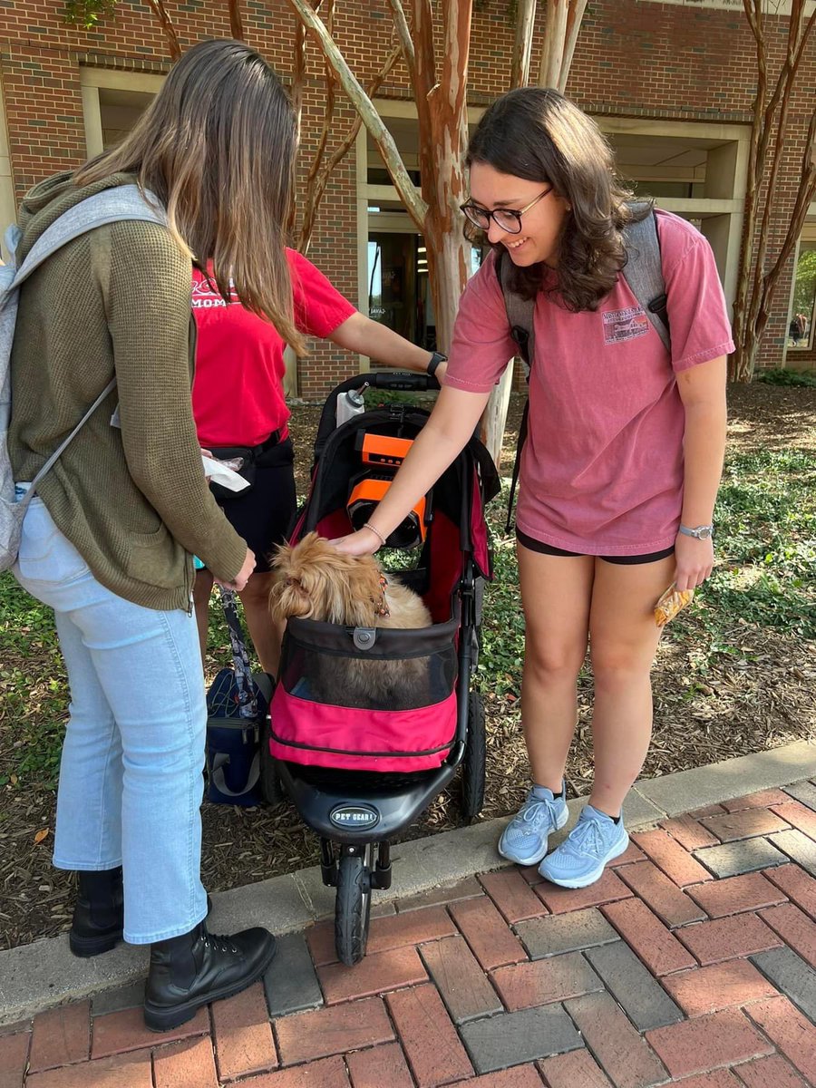 Cecilia Dean tweet media