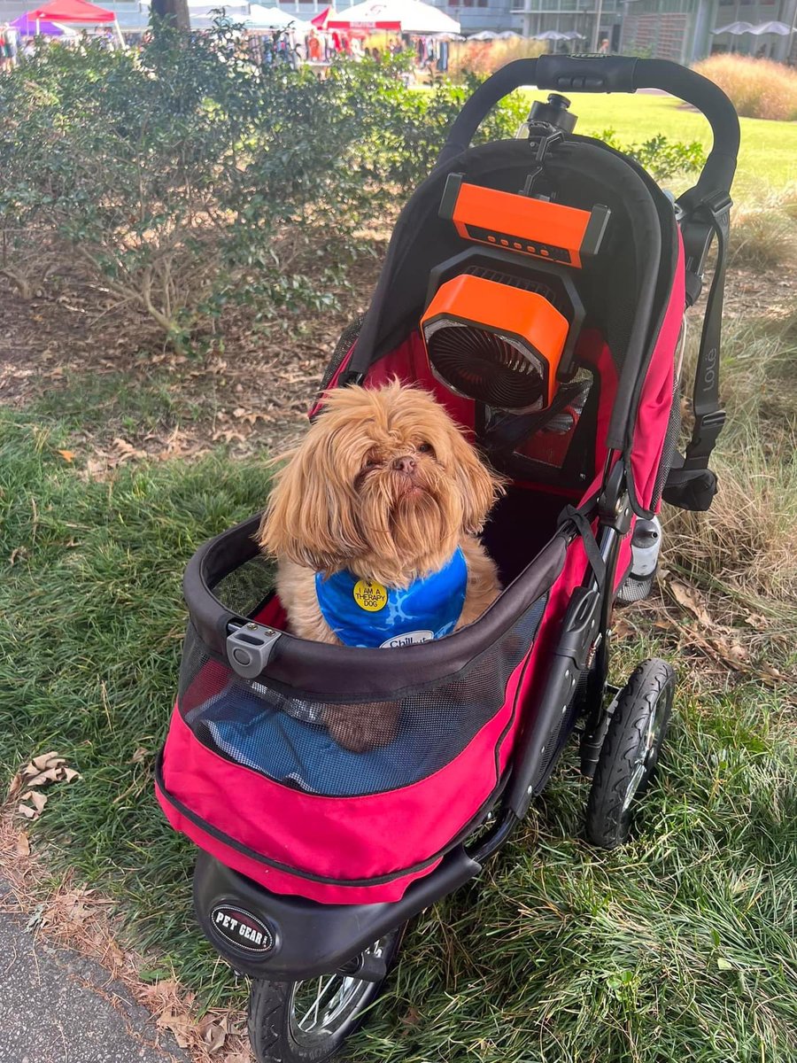 Cecilia Dean tweet media