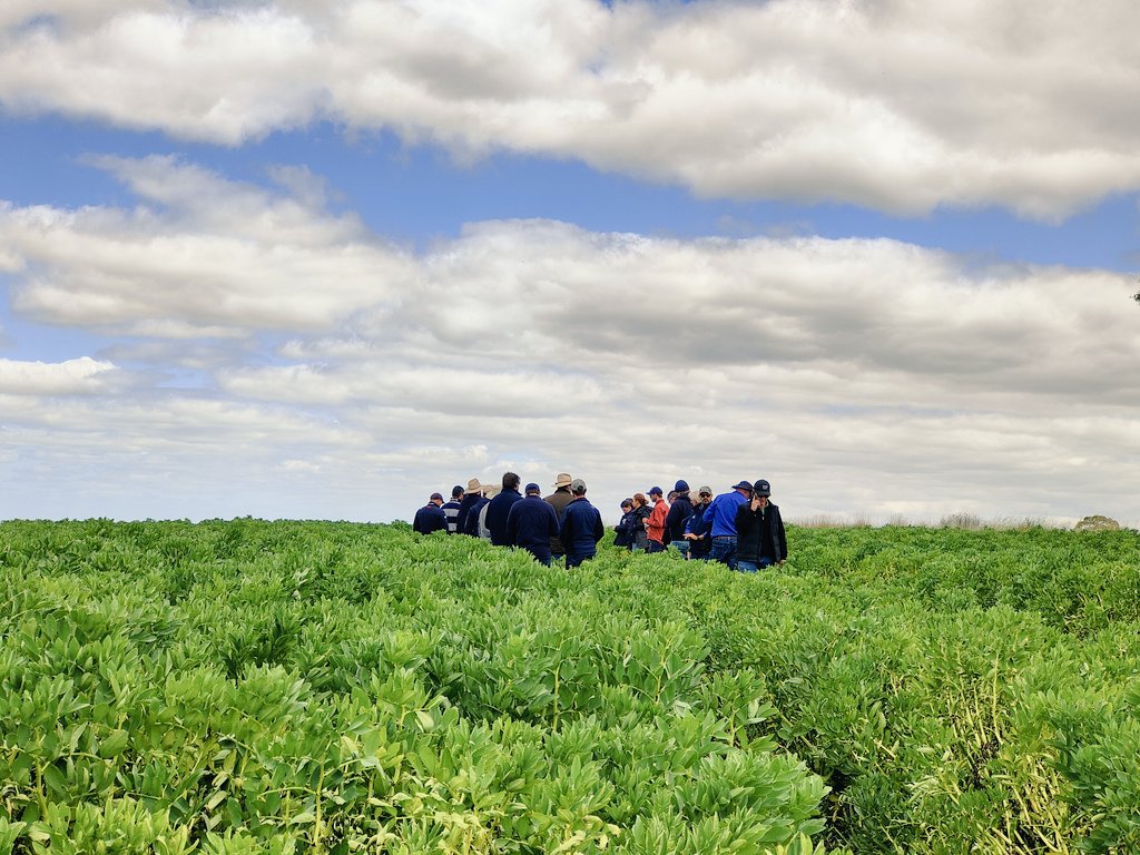 MidNorthHRZ's tweet photo. #MNHRZSpringFieldDay
Out in the Field at Giles Corner 1st stop Legumes & Pulse Protein
Penny says check the disease ratings to determine your legume choices
@theGRDC
@GRDCSouth @SAGrainTrust
@SA_PIRSA https://t.co/rGhxRcm6XN