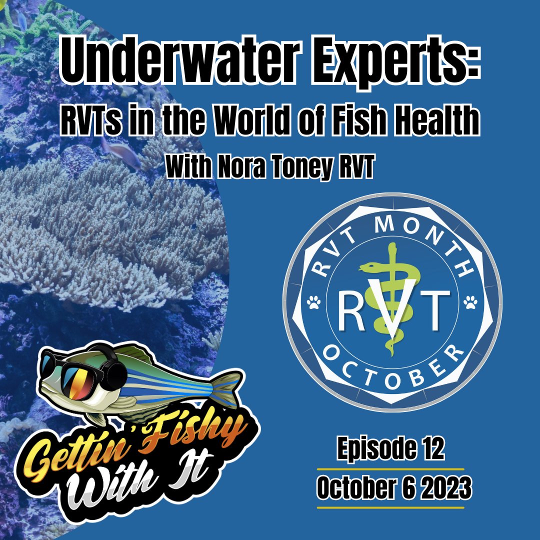 Christine Archer RVT 🇨🇦 (@nerdrvt) on Twitter photo Episode 12 of <a href="/GettinFishyPod/">Gettin' Fishy With It Podcast</a> is out now! And it is a really special one for me. This month is #RVTMonth and I wanted to share a bit about how incredible my profession is. So we chatted with another fish RVT for this episode. Please give it a listen: podcasters.spotify.com/pod/show/getti… Episode 12 of <a href="/GettinFishyPod/">Gettin' Fishy With It Podcast</a> is out now! And it is a really special one for me. This month is #RVTMonth and I wanted to share a bit about how incredible my profession is. So we chatted with another fish RVT for this episode. Please give it a listen: podcasters.spotify.com/pod/show/getti…