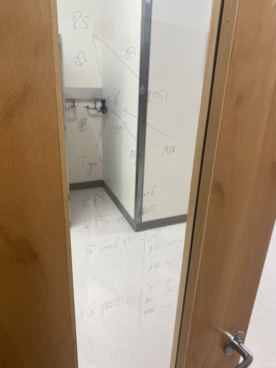 David_HouDC's tweet photo. 实验室教学日常，玻璃虽小，但是够用哈哈🤣🤣 https://t.co/ZE3fbbx7qc