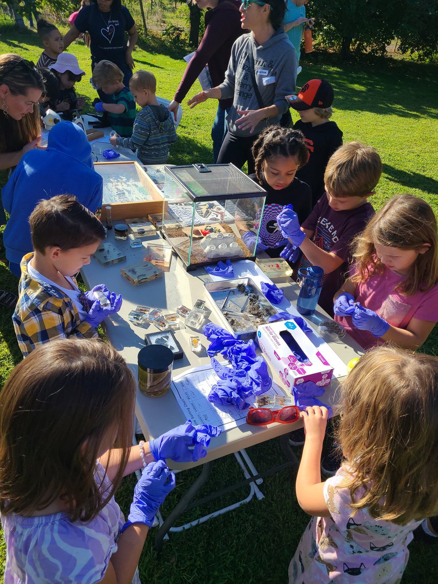 Wendy Fairon tweet media