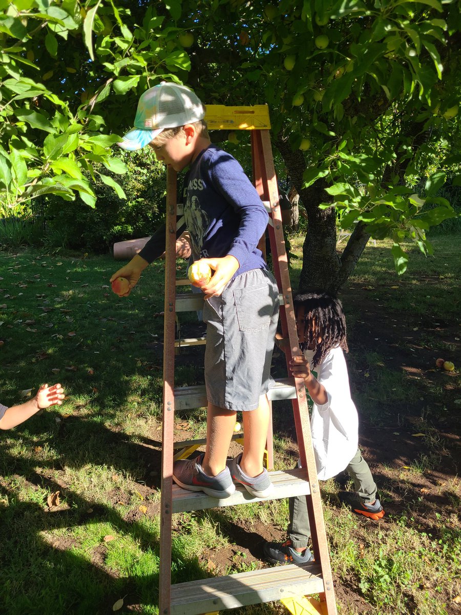 Wendy Fairon tweet media