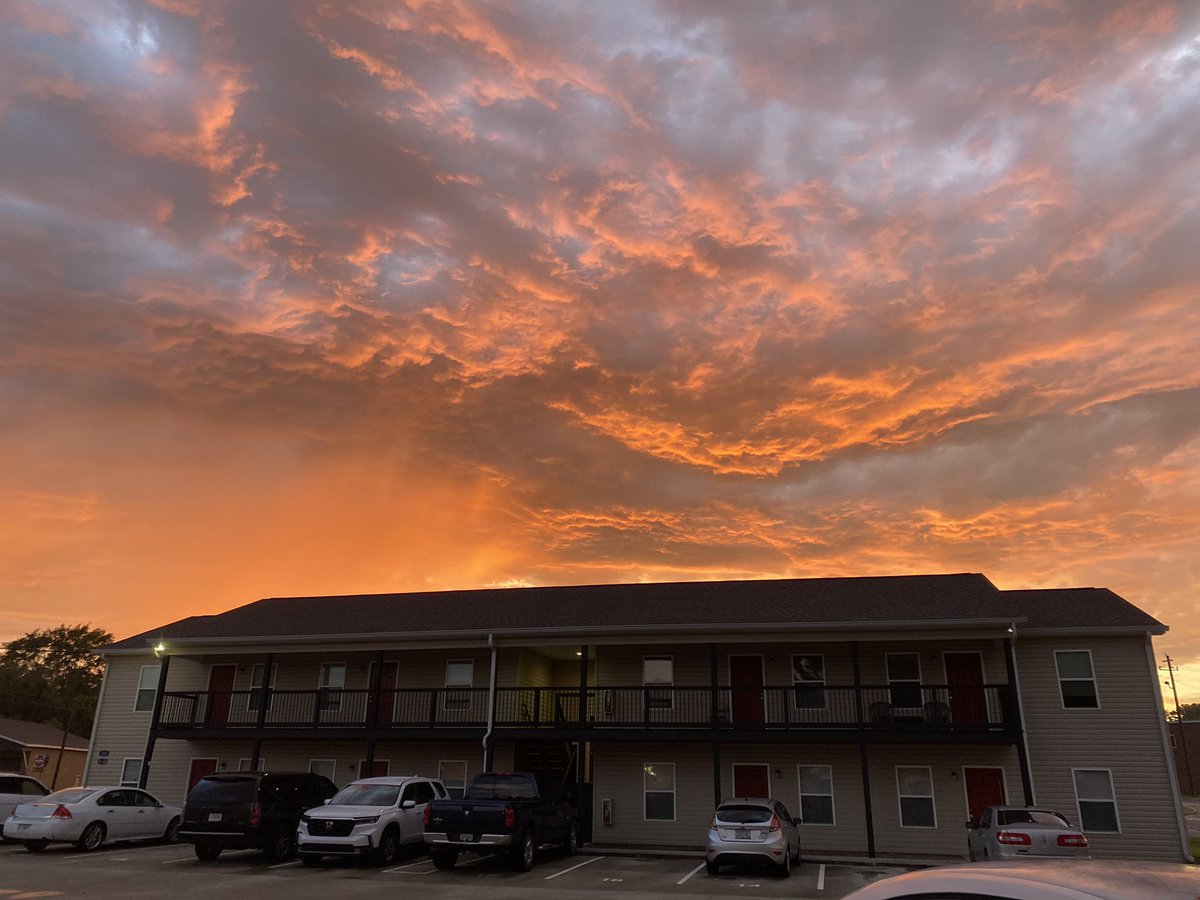 the purpose of life is to live it in full authenticity, and the key to life is to live it fully in love. 🦋❣️🌻🍄🌿