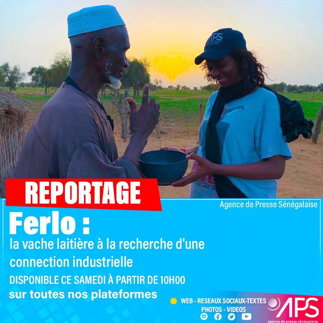 APS_Senegal's tweet photo. Ferlo : la vache laitière à la recherche d'une connection industrielle

Plus d’informations sur https://t.co/akzEZzXEwO 

#APS #reportage  #ferlo https://t.co/0fBQ77CeiY