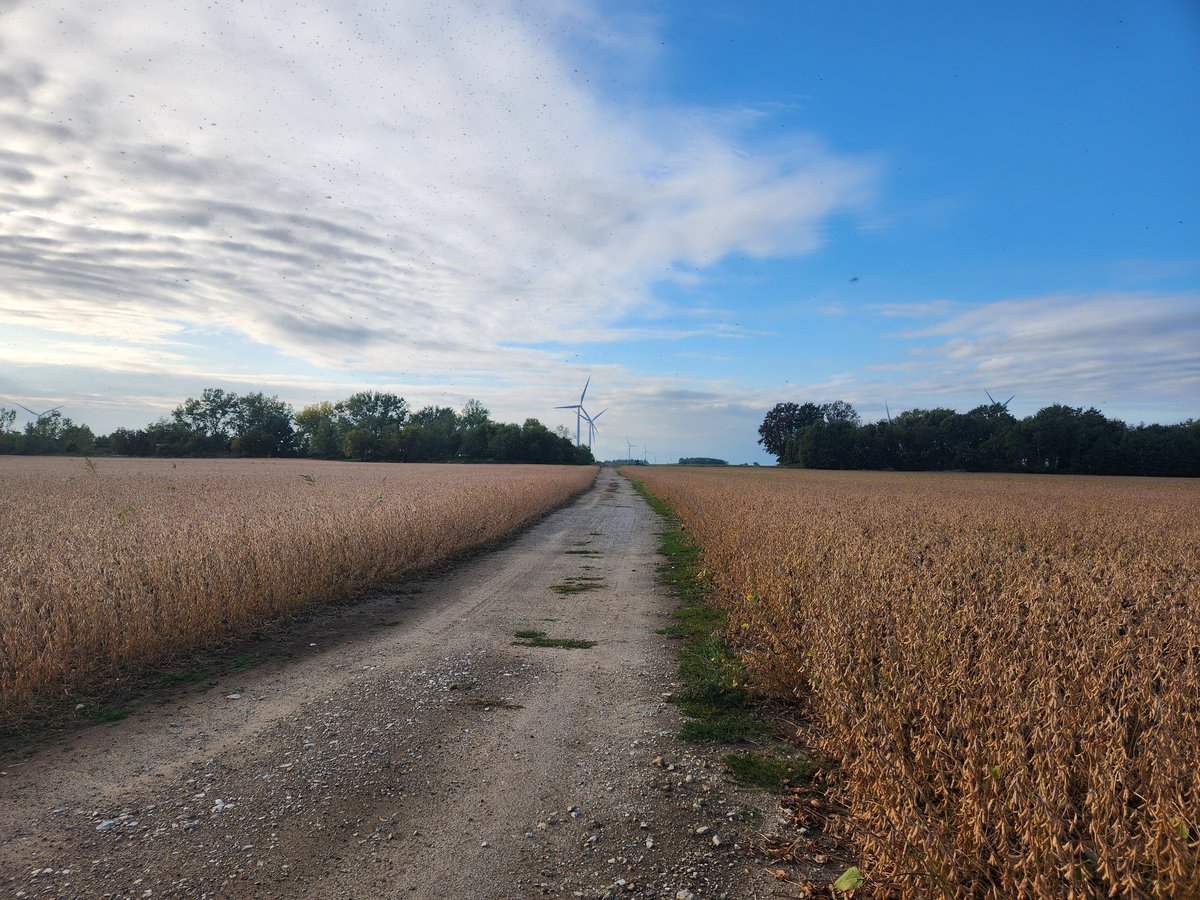 Al Sutherland tweet media