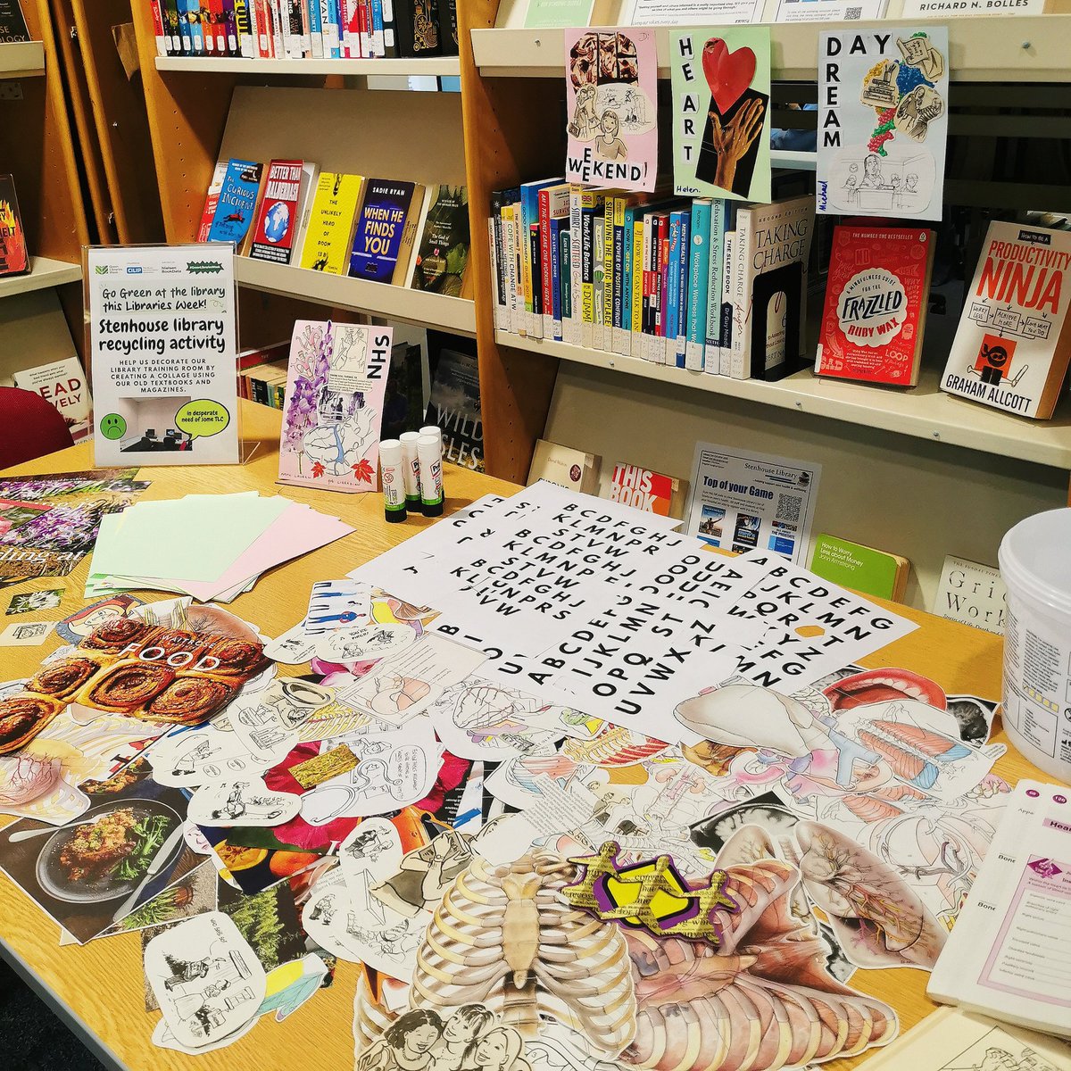 Stenhouse Library tweet media