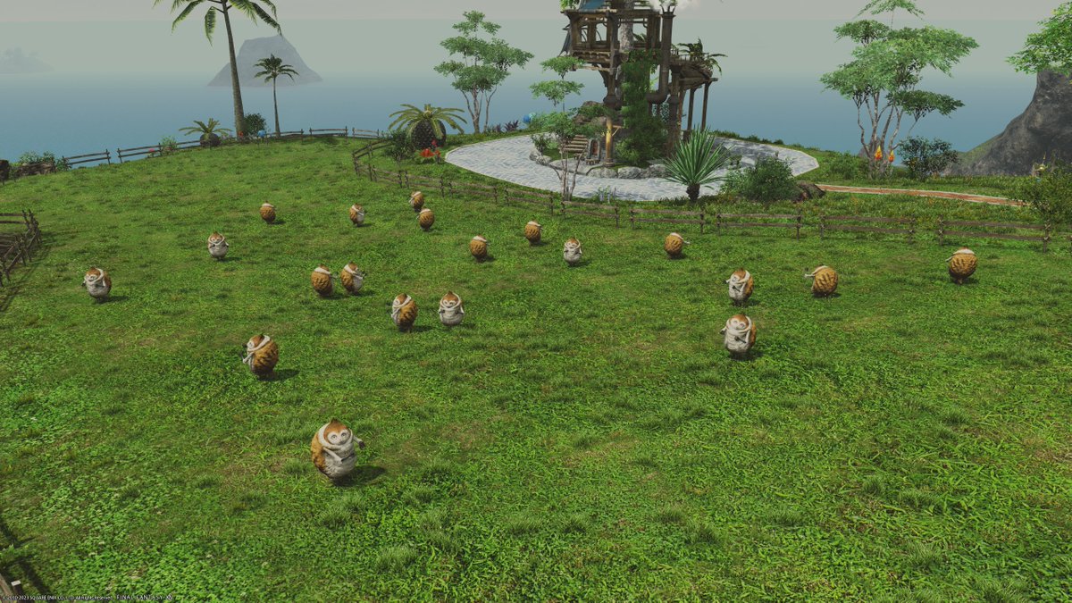 So, tell me, how to get Vegetal Vouchers with 20 paissa?
#FF14 #FFXIV #SanctuaryIsland #無人島開拓  #パイッサ