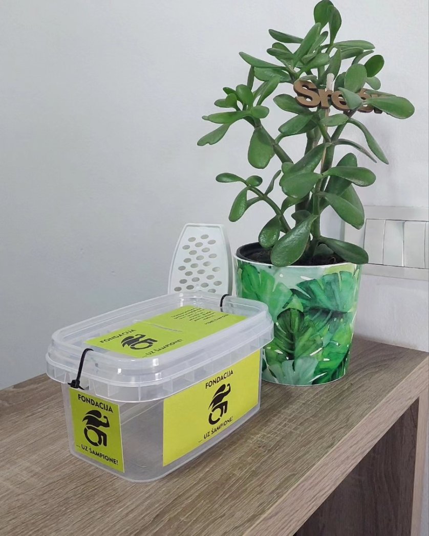 Frizersko kozmetički salon A Belle je uz šampione! 💪

Nova lokacija na kojoj putem kutije za donacije možete podržati izgradnju trening centra za sportiste sa invaliditetom, rad i ciljeve fondacije.

BUDI UZ ŠAMPIONE! 💪