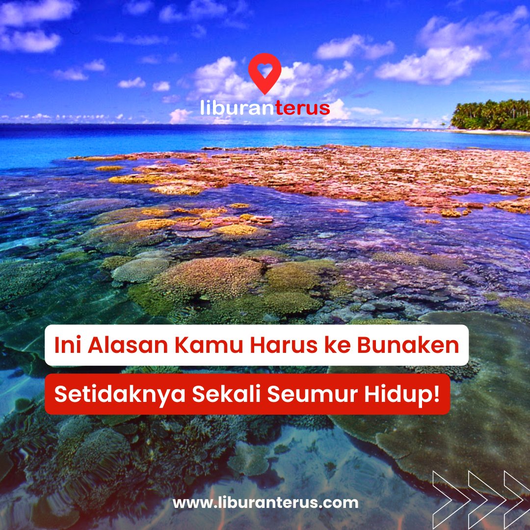 liburanteruscom's tweet photo. Destinasi wisata yang worth untuk dikunjungi seenggaknya sekali seumur hidup nih! Apalagi kalau bukan Bunaken~

Kenapa harus Taman Nasional Bunaken? Ini dia alasannya! https://t.co/i68OYVz2OC