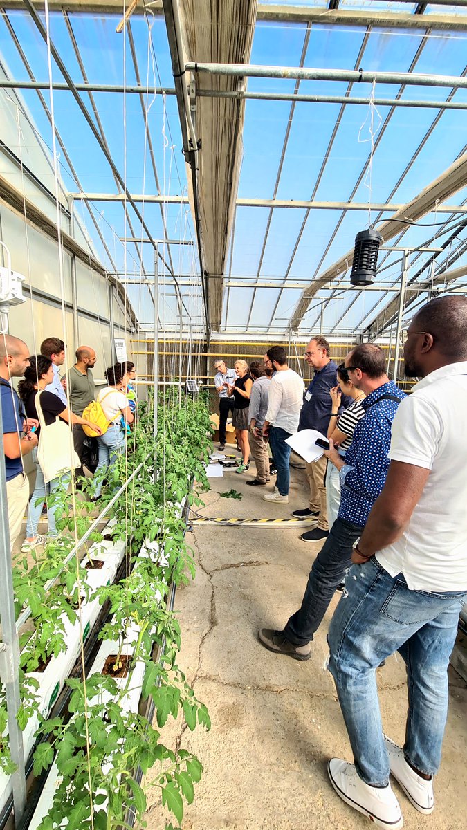 Organized by <a href="/CREARicerca/">CREARicerca</a>  and SOI, Giornate Tecniche SOI 2023 connected researchers, universities and agronomists to promote the know-how transfer of agriculture innovations. We shared all the results achieved so far and the impact of the project on tomato growing in greenhouse