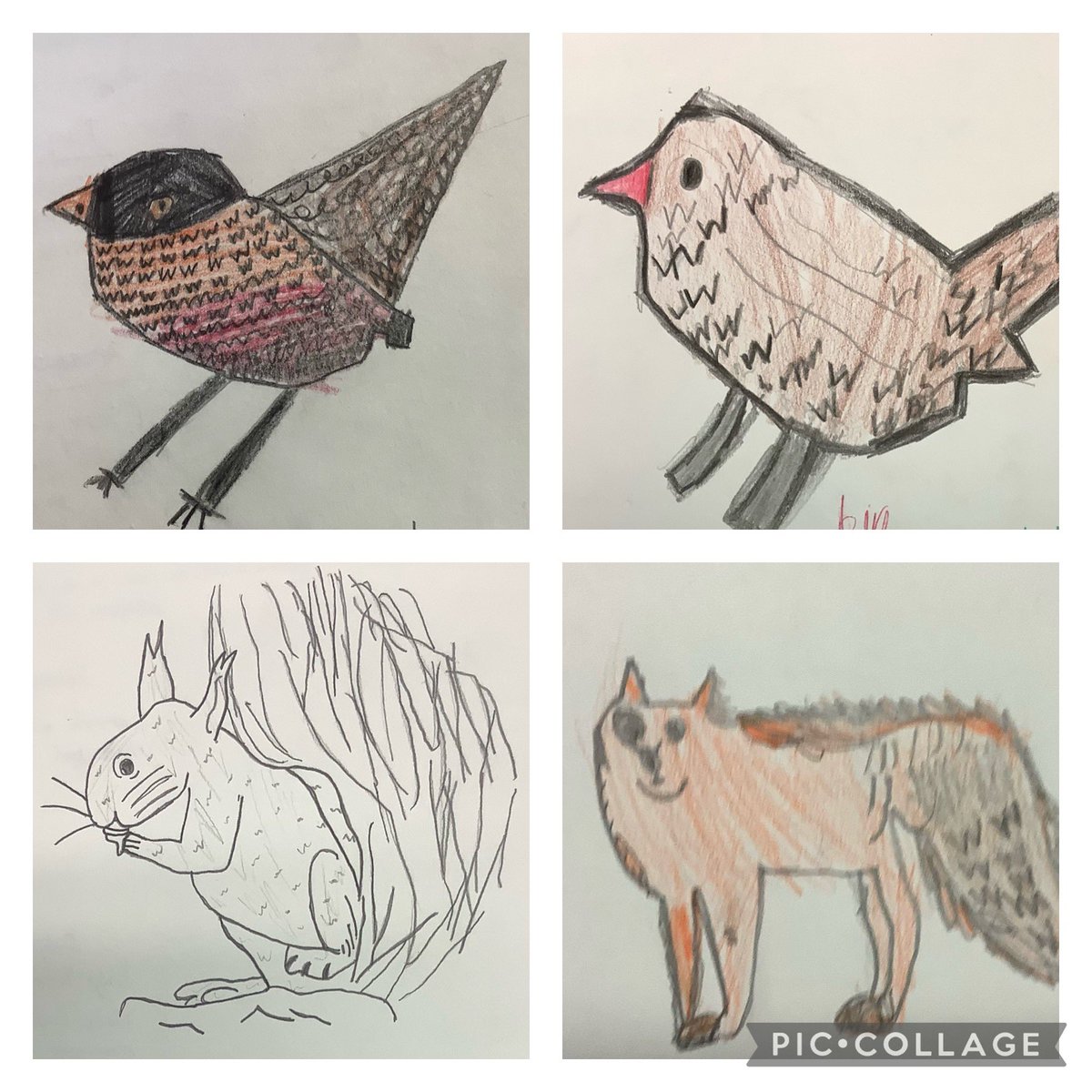 We have been drawing using earth tones in the style of cave artists and added texture to our work to show details such as fur.#teamstphilips