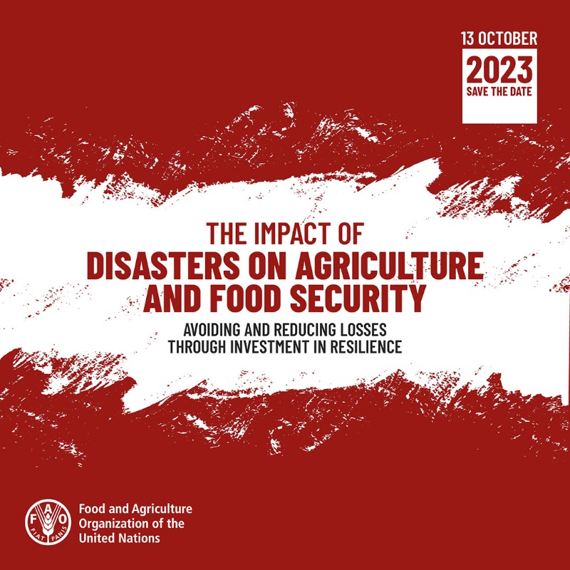 #SaveTheDate | Launch of @FAO's new flagship publication: The impact of disasters on agriculture and food security, 2023 ➡️ Join the event on 13 October ➡️ Tune in from 12:00 to 14:00 hours CEST ➡️ Register: bit.ly/3RJcHkb #DisasterRiskReduction #DRRday