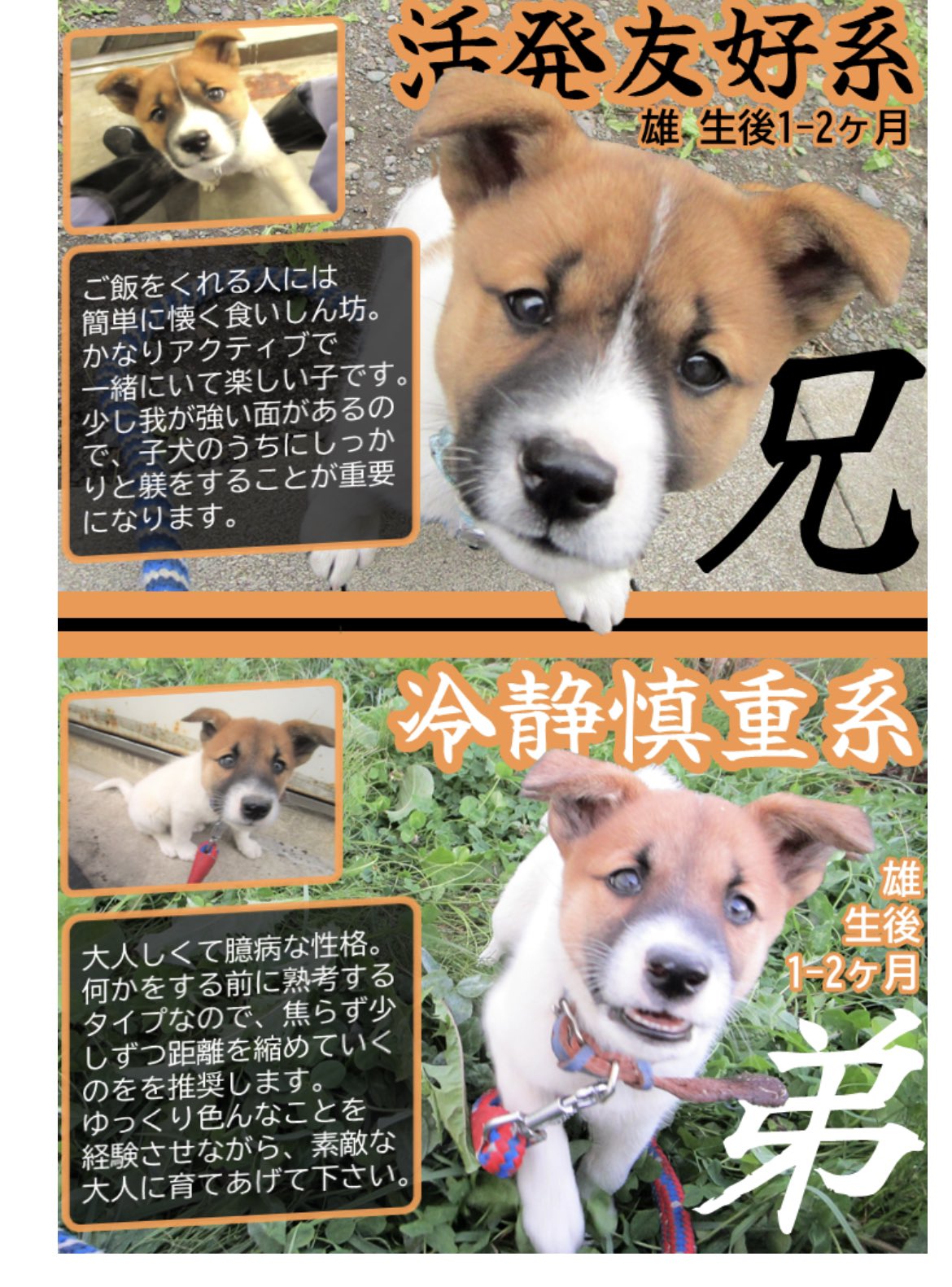 逐条解説 火災予防条例準則 逐条解説 火災予防条例準則 消防庁 ぎょうせい