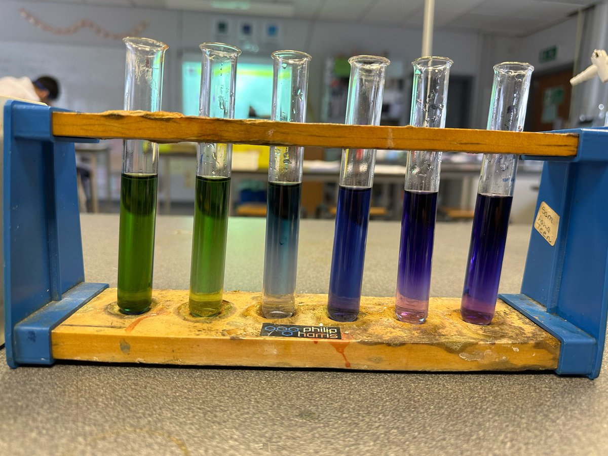 BA_Science1's tweet photo. Lab Skills pupils making a representation of the pH scale while practising serial dilutions 🧪🥼 https://t.co/NEWgYBCUgf