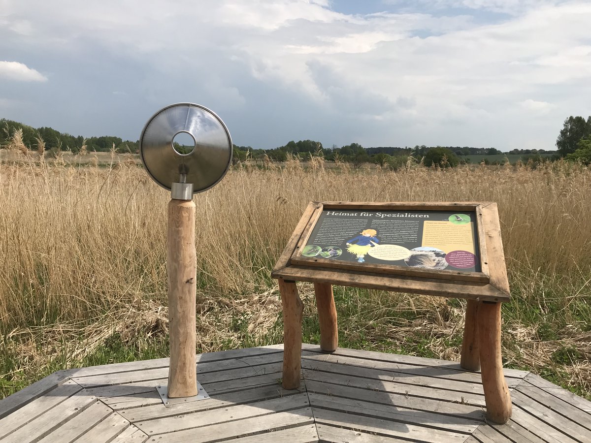 Uckermark_tmu's tweet photo. Moortour mit dem Fahrrad zur Sernitzniederung: 15.10. von 10:30–13:30 Uhr. Das 800 ha große #Sernitzmoor nahe #Greiffenberg (bei #Angermünde) ist einer der wertvollsten Quellmoorkomplexe in #Brandenburg. Anmeldung unter: Tel.: 03331 26040 oder anmeldung.blumberger-muehle@nabu.de https://t.co/nYQOBacoxA