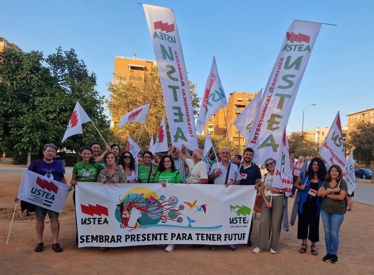 USTEA Jaén educación tweet media