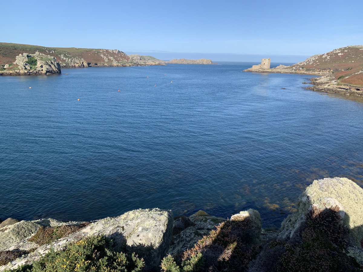 Simon Smith tweet media