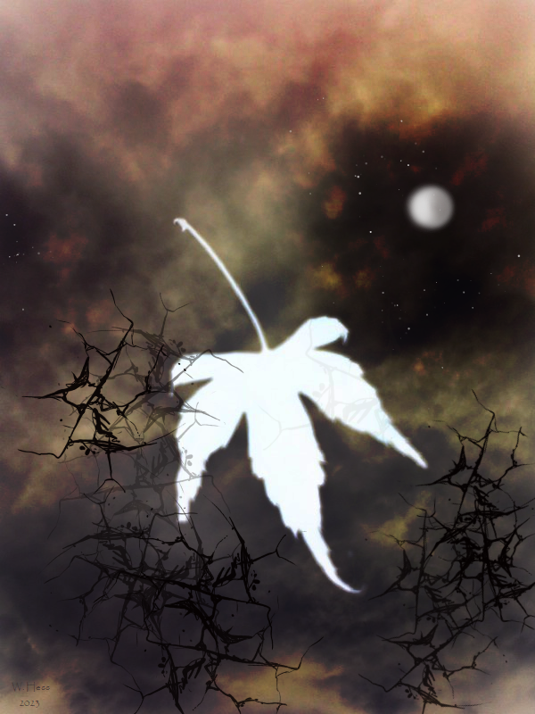 LabrynthKnight's tweet image. #photo #art #photoart #drawing #painting
#fall #autumn #moon
OCTOBER MAGIC
W. Hess, 2023.