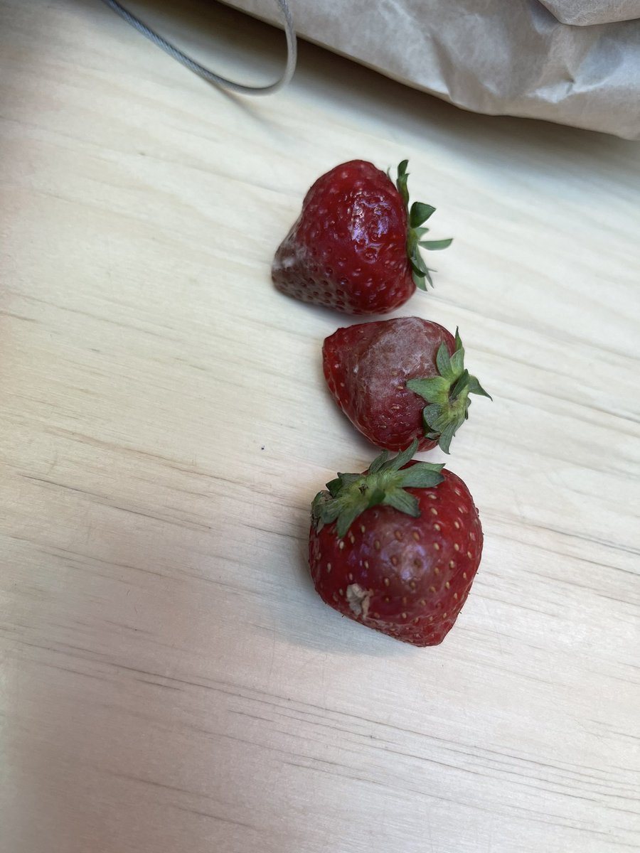 JoannaCB tweet media