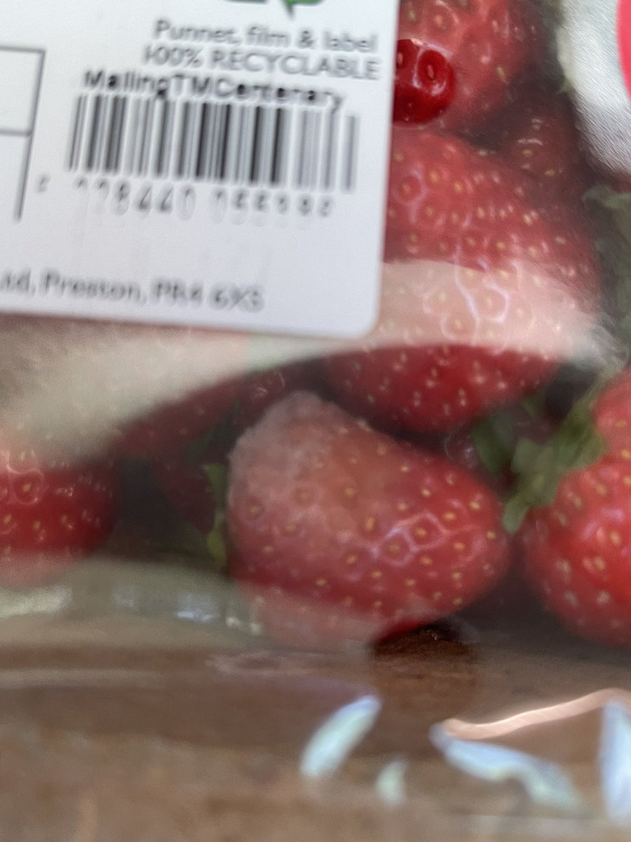 JoannaCB tweet media