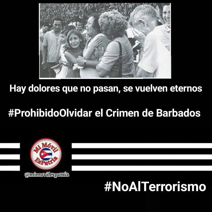 <a href="/mimovilespatria/">mimovilespatria</a> <a href="/DiazCanelB/">Miguel Díaz-Canel Bermúdez</a> <a href="/PartidoPCC/">Partido Comunista de Cuba</a> <a href="/UJCdeCuba/">UJC de Cuba</a> <a href="/DrRobertoMOjeda/">Dr. Roberto Morales Ojeda</a> <a href="/YaquedeCuba/">Yaquelin</a> <a href="/cdr_cuba/">CDR de Cuba</a> <a href="/EVilluendasC/">Enrique Villuendas</a> <a href="/FMC_Cuba/">FMC de Cuba</a> <a href="/FEEM_Cuba/">FEEM de Cuba ✌️🇨🇺</a> <a href="/RPolancoF/">Rogelio Polanco Fuentes</a> "La Revolución nos inculcó a todos la idea de la fraternidad y la solidaridad humana. A todos nos hizo hermanos entrañables en los que la sangre de uno pertenece a todos y la sangre de todos pertenece a cada uno de los demás".
#NoAlTerrorismo
#MiMóvilEsPatria