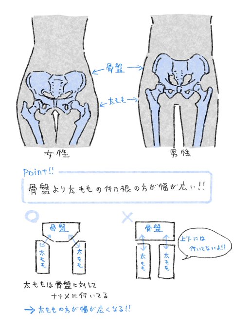 TIPS【腰】の描き方 コレでもう下半身が細くなりすぎることはありません。