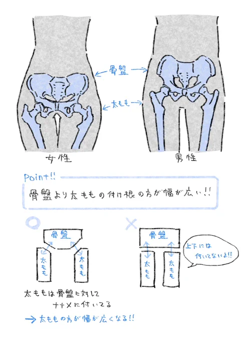TIPS【腰】の描き方 コレでもう下半身が細くなりすぎることはありません。