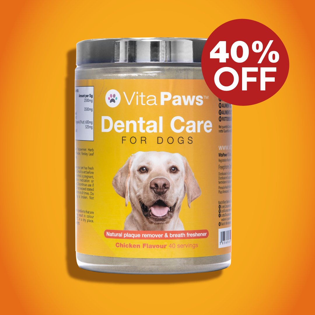 VitaPaws's tweet photo. 🍂 Autumn Sale!

VitaPaws dental Care for Dogs - Expert formula for clean teeth, healthy gums and fresh breath and also supporting the reduction of plaque build-up 🧡

 https://t.co/6xUCJh4Ksc https://t.co/LbqdeAg3T0