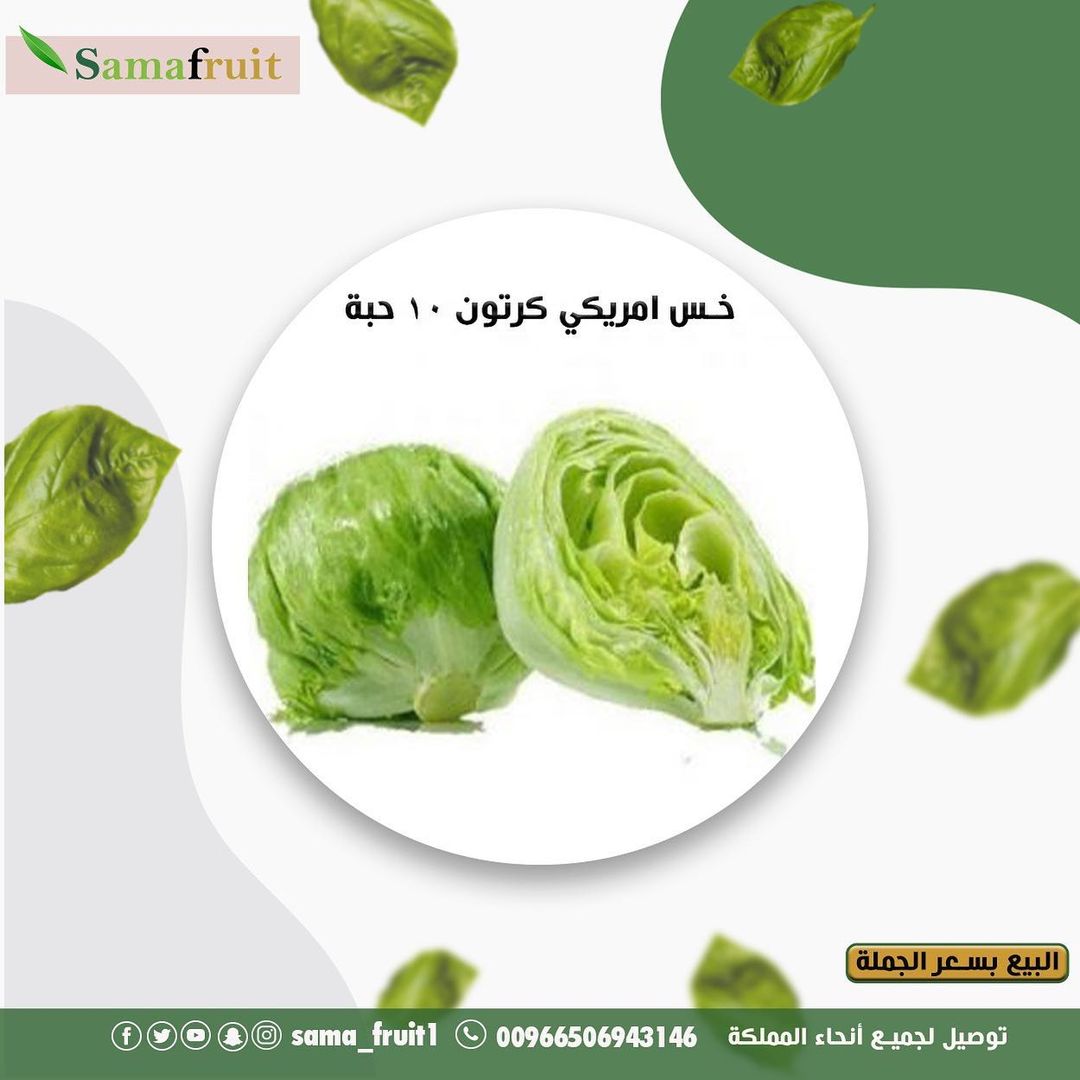 طازجة دائماً اطلبها الان
#خضار #فاكهة #طازجة #سما_فروت
#خضار #الرياض #فاكهة #الرياض
00966506943146
samafruit.com