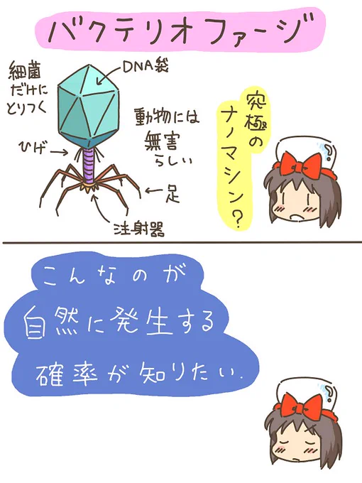 売れのこったブラウン管のおはなし。(902)

バクテリオファージ 
