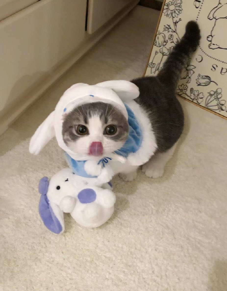 ❤️hime❤️ My Ex-Crush VS My First Love || How To Be A Good Boyfriend by Teen