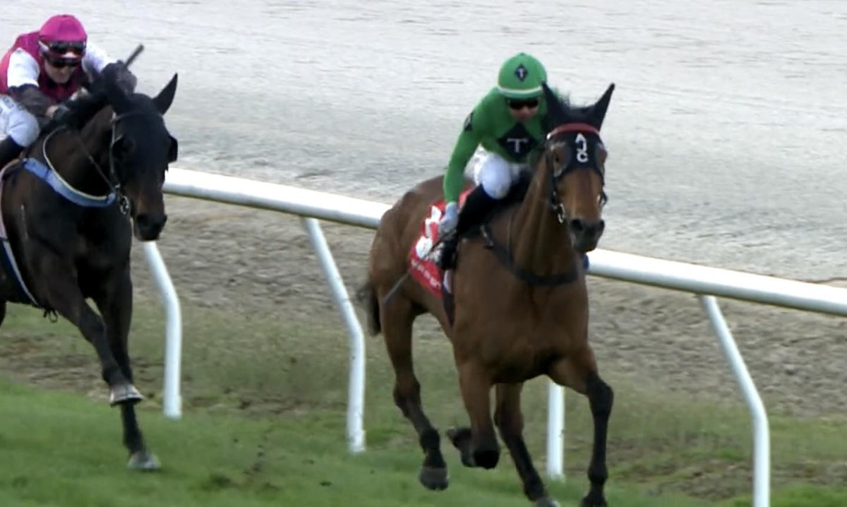 CarstonRacing's tweet photo. 🗞️Taimate Diva makes up for her bad behaviour, just

Trainer Andrew Carston was breathing a sigh of relief following Taimate Diva’s win in the Celebrating Phar Lap Handicap at Timaru (2200m) on Friday. @TaimateEquine 

Read the story here: 
https://t.co/u5TbGNnAce https://t.co/YaoNdtUYDF
