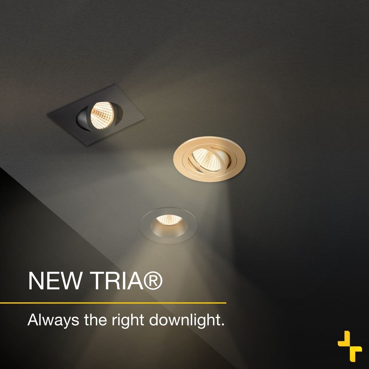 slvnorway's tweet image. NEW TRIA® - ditt superverktøy for allmennbelysning og effektbelysning 💡. I
1. Velg downlightring: 
2. Velg modul/lyskilde:

FERDIG! 👉 fcld.ly/0tmmdjo

#slv #experiencelight #slvlys #downlight #newtria #innfelt #easytoinstall #elektriker #elektrogrossist #ELNR #efobasen
