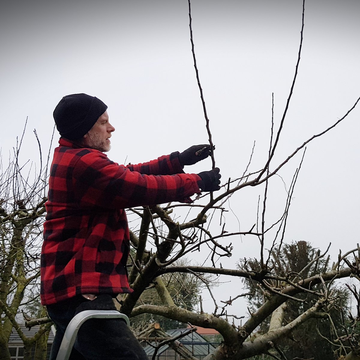 Dalefoot Composts tweet media