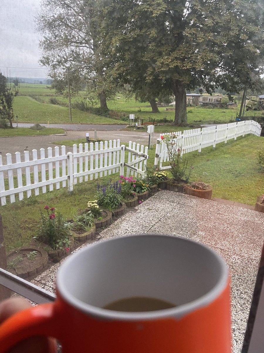 Guten Morgen ☀️ von der Insel.